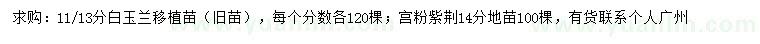 求購11、13公分白玉蘭、14公分宮粉紫荊