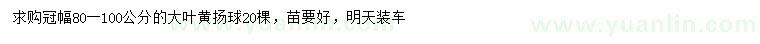 求購冠幅80-100公分大葉黃揚球