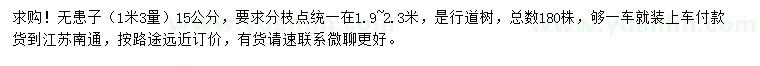 求購1.3米量15公分無患子