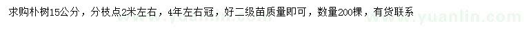 求購15公分樸樹