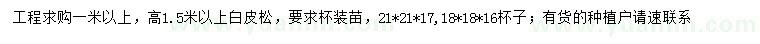 求購(gòu)高1.5米以上白皮松