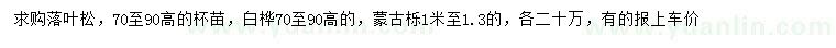 求購落葉松、白樺、蒙古櫟