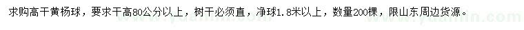 求購高80公分以上高桿黃楊球
