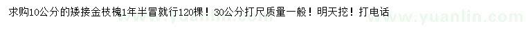 求購(gòu)30公分量10公分矮接金枝槐
