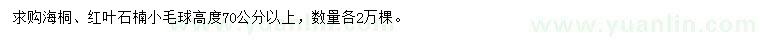 求購高70公分海桐、紅葉石楠小毛球