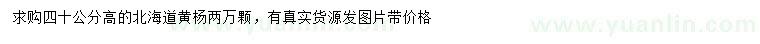求購(gòu)高40公分北海道黃楊