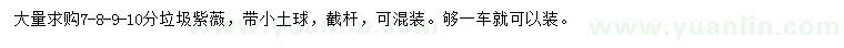 求購(gòu)7、8、9、10分垃圾紫薇