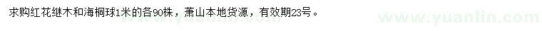 求購1米紅花繼木、海桐球