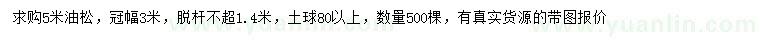 求購5米油松