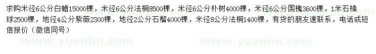 求購(gòu)白蠟、法桐、樸樹(shù)等