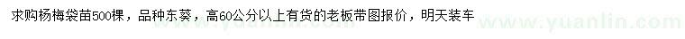 求購高60公分以上楊梅