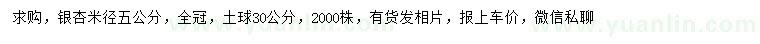 求購米徑5公分銀杏