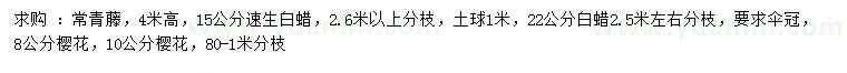 求購常青藤、速生白蠟、白蠟等