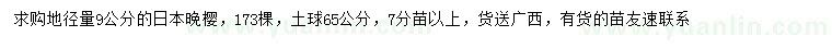 求購地徑量9公分日本晚櫻