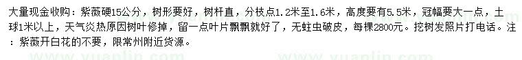 求購硬15公分紫薇
