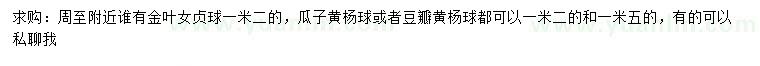 求購(gòu)金葉女貞球、瓜子黃楊球、豆瓣黃楊球