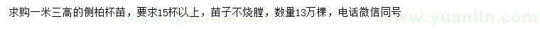 求購高1.3米側(cè)柏