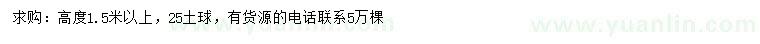 求購高1.5米以上側(cè)柏
