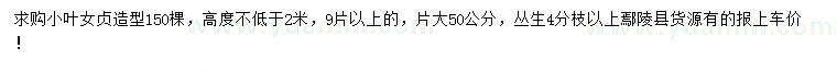 求購高2米小葉女貞