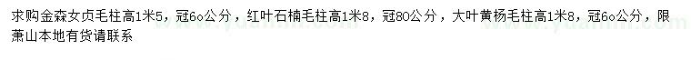 求購金森女貞毛柱、紅葉石楠毛柱、大葉黃楊毛柱