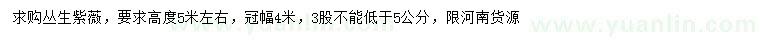 求購(gòu)高5米左右叢生紫薇