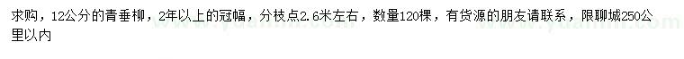 求購12公分青垂柳