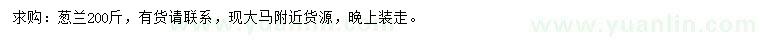 求購蔥蘭