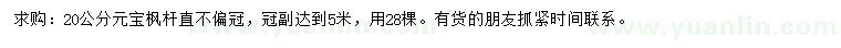 求購20公分元寶楓
