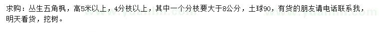 求購高5米以上叢生五角楓