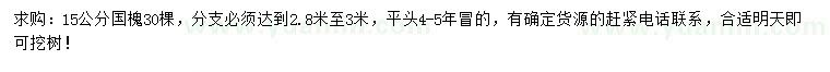 求購15公分國槐