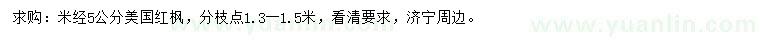 求購米經(jīng)5公分美國紅楓