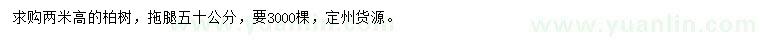 求購高2米柏樹