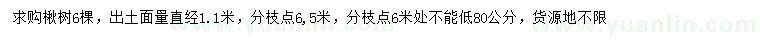 求購直徑1.1米楸樹