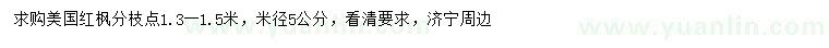 求購米徑5公分美國紅楓