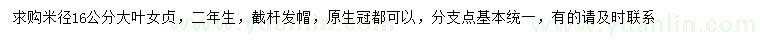 求購米徑16公分大葉女貞