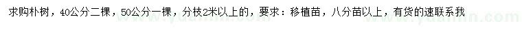 求購40、50公分樸樹(shù)