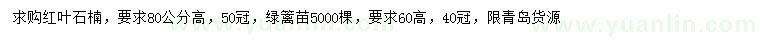 求購高80公分紅葉石楠