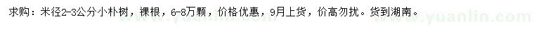 求購米徑2-3公分樸樹