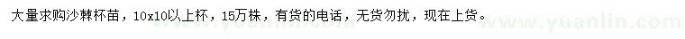 求購沙棘
