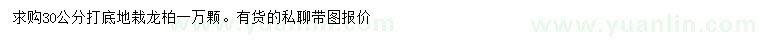 求購30公分龍柏