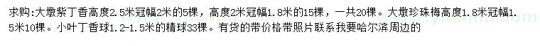 求購紫丁香、珍珠梅、小葉丁香球