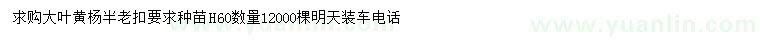 求購(gòu)大葉黃楊