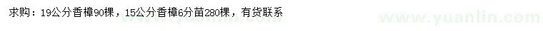 求購15、19公分香樟