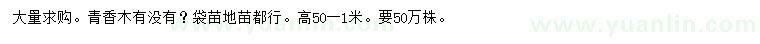 求購高50-100公分清香木