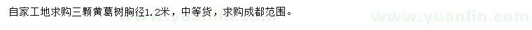 求購(gòu)胸徑1.2米黃葛