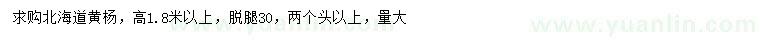 求購高1.8米以上北海道黃楊
