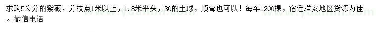 求購(gòu)5公分紫薇