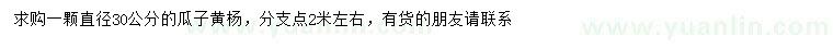 求購直徑30公分瓜子黃楊