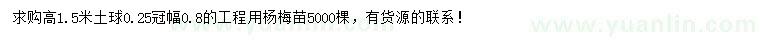 求購高1.5米楊梅苗