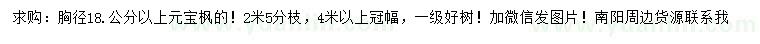 求購胸徑18.公分以上元寶楓